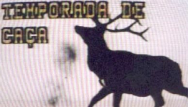 Imagem de destaque do artigo Caça aos veados?