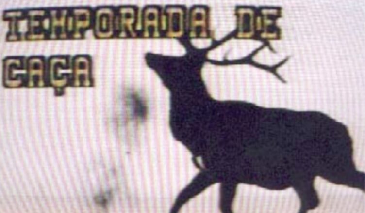 Caça aos veados?